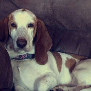 Meet your Posher, Maddy